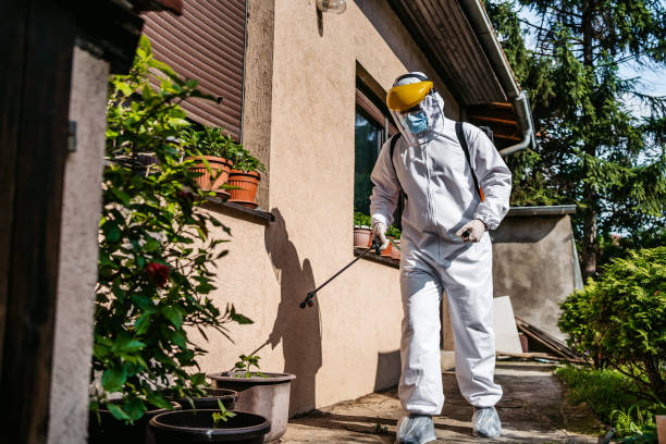 Best Flea Control Services  in Crowley, LA
