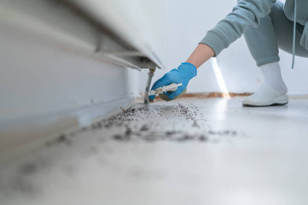 Best Pest Removal Services  in Crowley, LA